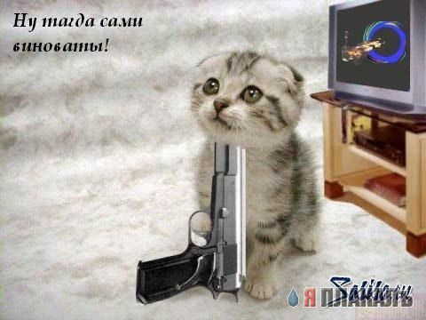 кот