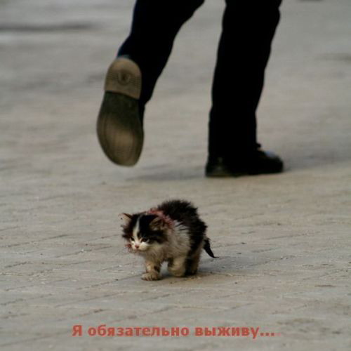 выжить!