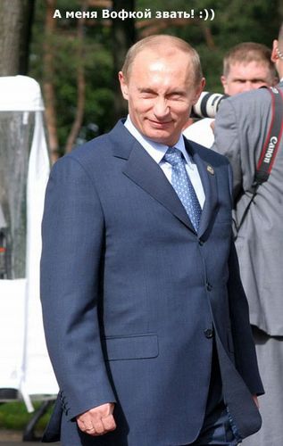 вофка